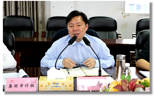 集團(tuán)黨委委員、紀(jì)委書記彭向華強(qiáng)調(diào)審計(jì)整改工作要深挖思想根源(圖2)