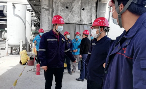 王大真到TMP、TPO項目及股份公司技改現(xiàn)場檢查工作(圖2)