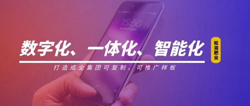 線上辦公零接觸！松滋肥業(yè)信息化在戰(zhàn)“疫”之中顯身手(圖1)