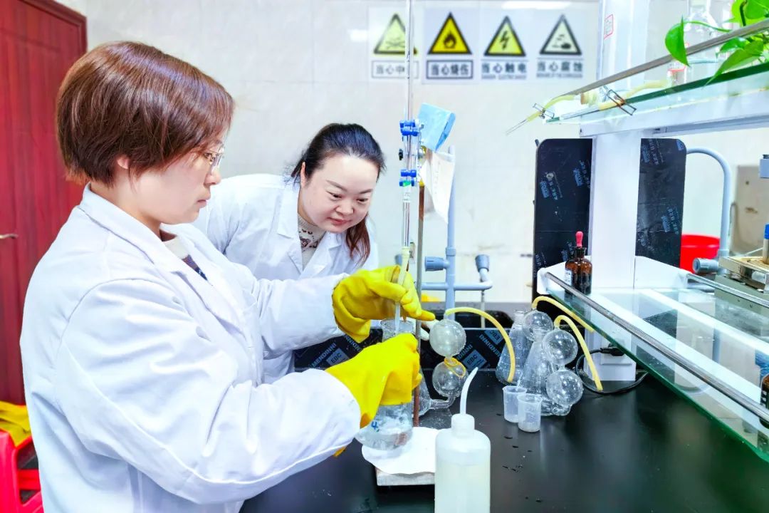 【宜化榜樣】股份公司黃冬燕：立足分析崗位，爭(zhēng)當(dāng)技術(shù)能手(圖5)