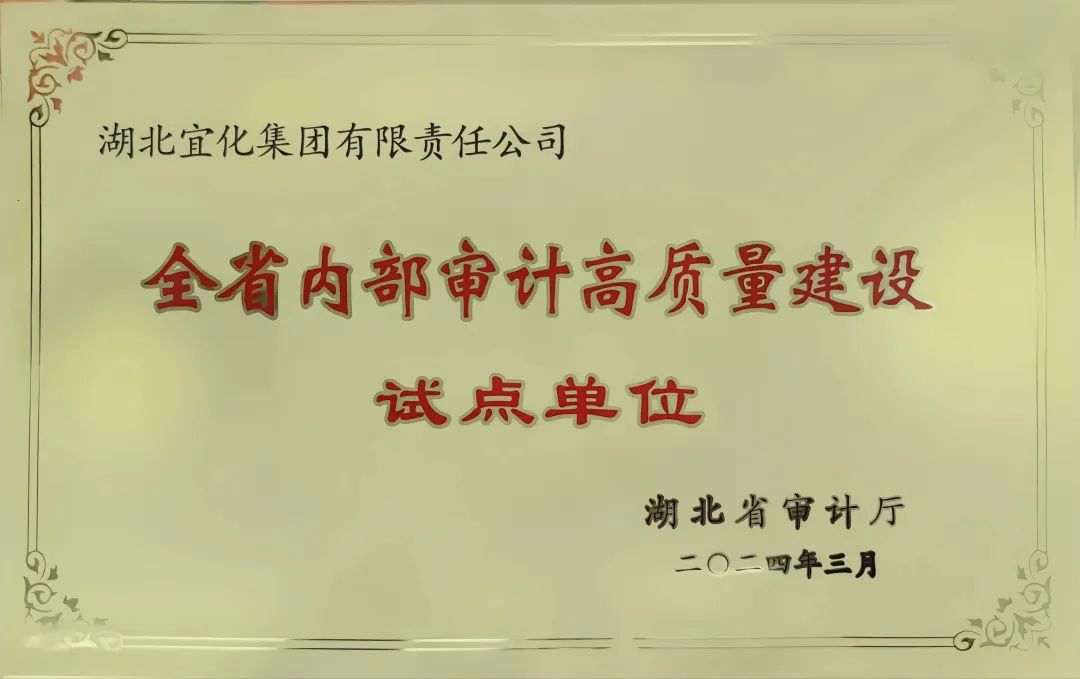 宜化集團獲評全省內(nèi)部審計高質量建設試點單位(圖2)