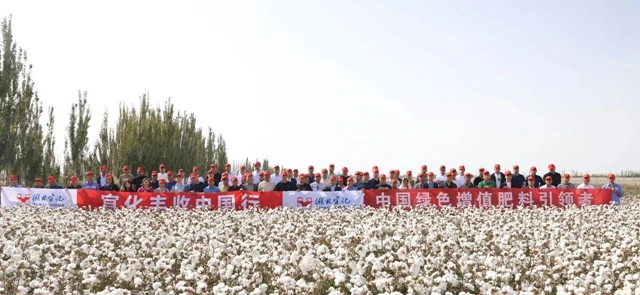 宜化豐收中國行！新疆棉花大型測產(chǎn)觀摩會(huì)成功舉行