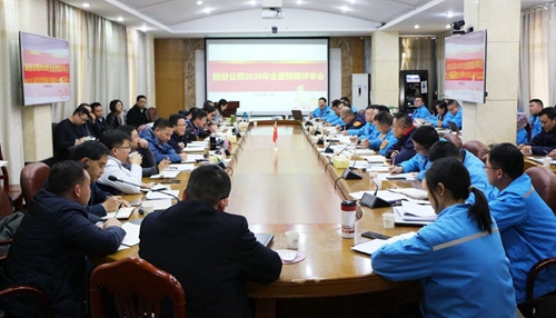 王大真調(diào)研指導(dǎo)股份公司、化機(jī)公司和TMP新項(xiàng)目2020年財務(wù)預(yù)算工作