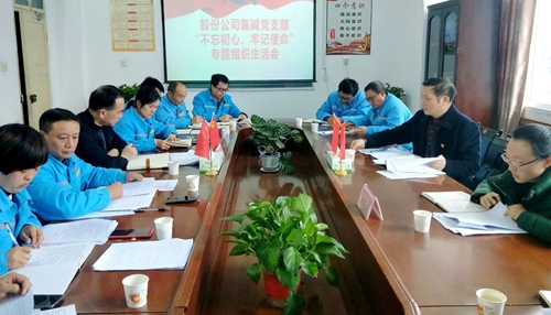 向宇飛列席指導(dǎo)股份公司氯堿黨支部“不忘初心、牢記使命”專題組織生活會
