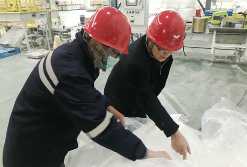 王大真到新材料公司、TPO項目現(xiàn)場和股份公司檢查工作